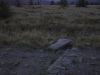 crw_2860-01