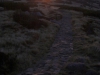 crw_2866-01