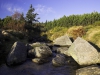 crw_2892-01