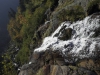 crw_2906-01