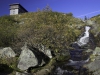 crw_2908-02