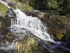 crw_2911-02