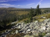 crw_2924-02