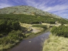 crw_2930-01