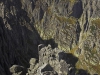 crw_2937-02