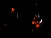 img00017