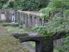 img_8861