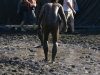 img00035