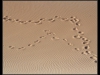 p8300298