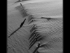 p8300309